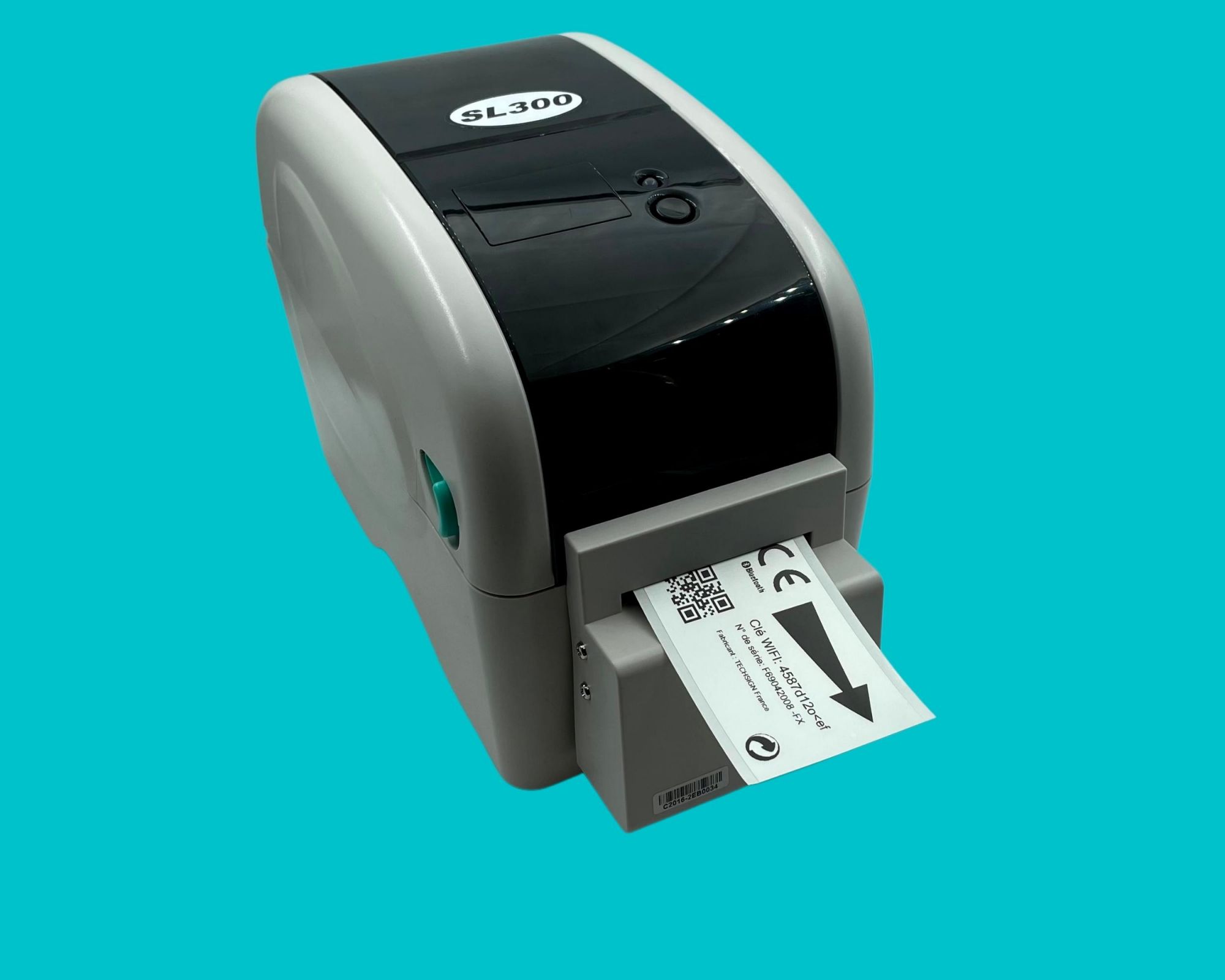 Imprimante signalétique SL300